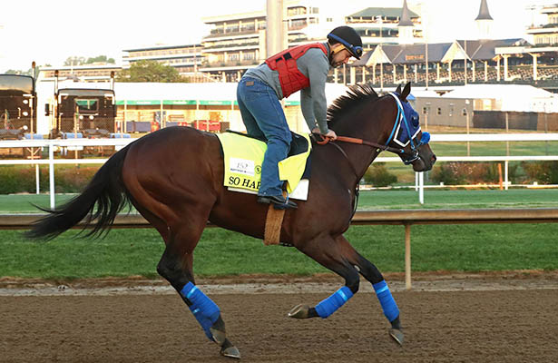 So Happy gallops at Churchill Downs